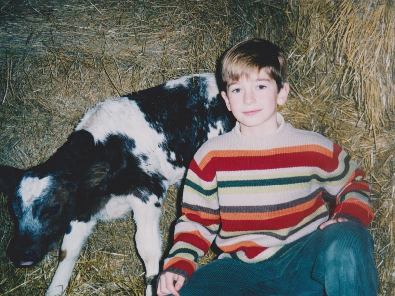 En Cantabria a la cria de la vaca la llamamo jato o jata