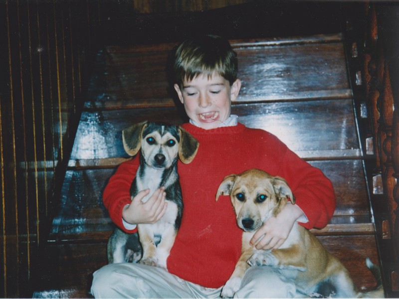 Alfonso y los perros de la granja