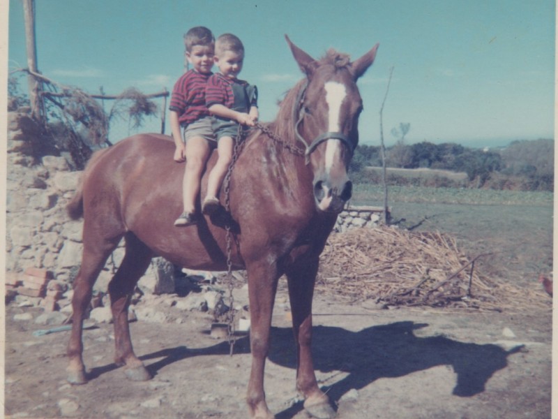 En todas las casas había un caballo o una yegua, necesarias para tirar del carro en las labores del campo.